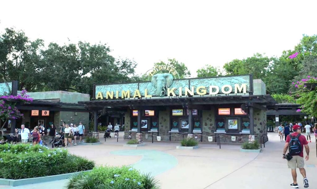 Christmas at Animal Kingdom Secrets Every Traveler Needs for 2027 2 Main entrance and ticket booths at Disney's Animal Kingdom during morning park arrival