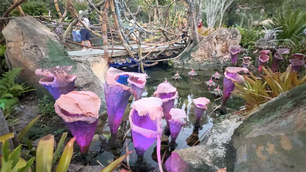 Christmas at Animal Kingdom Secrets Every Traveler Needs for 2027 30 Purple and pink bioluminescent pitcher plants glowing over a freshwater pond in Pandora at Animal Kingdom