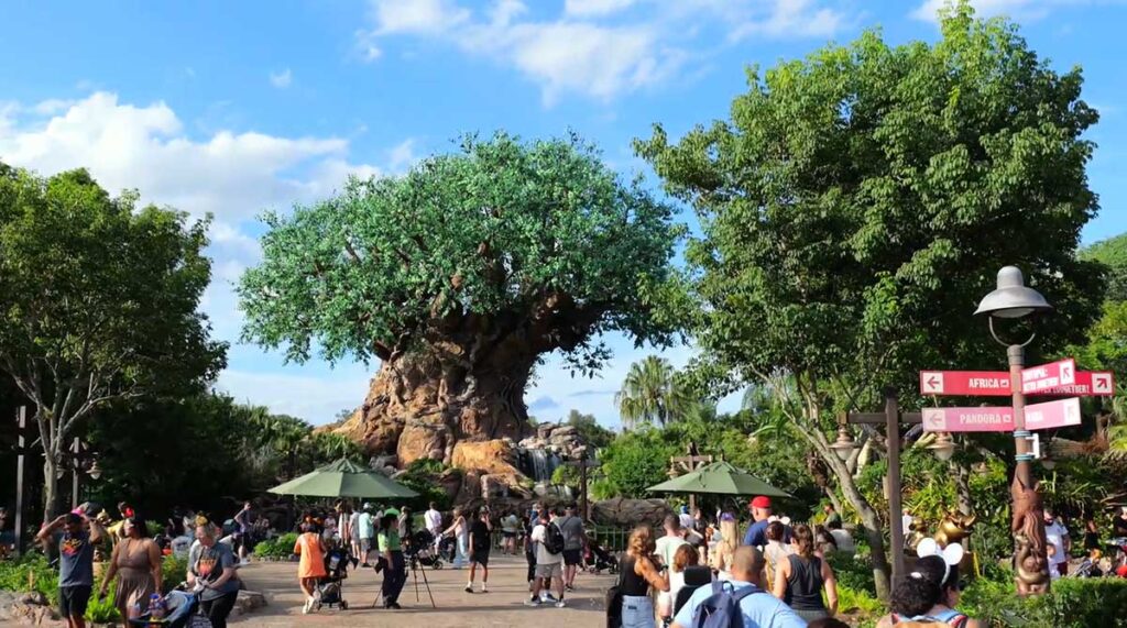 Christmas at Animal Kingdom Secrets Every Traveler Needs for 2027 3 The Tree of Life on Discovery Island with daytime visitors and directional signs toward Africa and Pandora